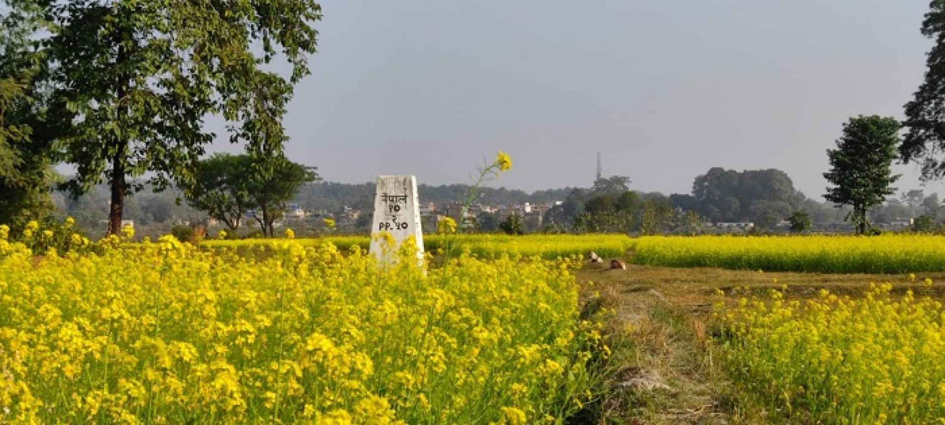 दशगजा वारिपारि पहेँलपुर तोरीबारी !  
